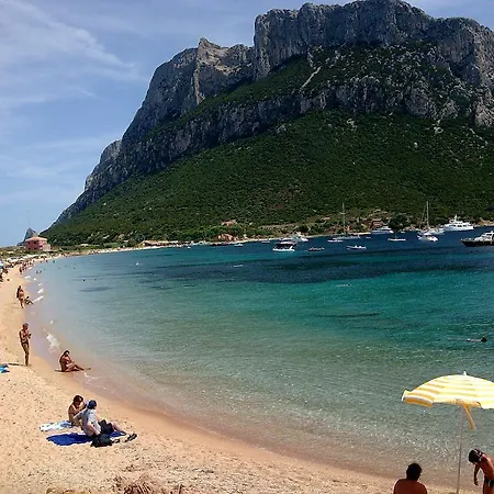 Roge Olbia